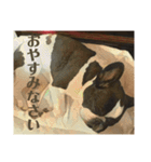 破天荒犬 さくら（個別スタンプ：2）