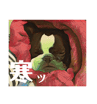 破天荒犬 さくら（個別スタンプ：23）