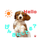 はろ〜〜キャバッppy.2（個別スタンプ：4）