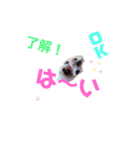 はろ〜〜キャバッppy.2（個別スタンプ：7）