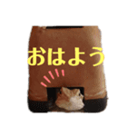 レプタイルアニマルスタンプ（個別スタンプ：4）