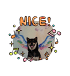 柴犬ライフ小鉄と小春（個別スタンプ：2）