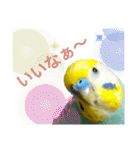 セキセイインコのニイコちゃん(色々言葉)（個別スタンプ：18）