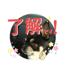 ふんふんのスタンプ part4♡（個別スタンプ：4）