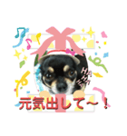 ふんふんのスタンプ part4♡（個別スタンプ：7）