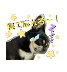 ふんふんのスタンプ part4♡（個別スタンプ：8）