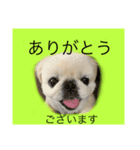 麻弐マニ 仕事一番   2（個別スタンプ：1）