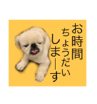 麻弐マニ 仕事一番   2（個別スタンプ：2）