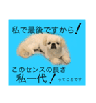 麻弐マニ 仕事一番   2（個別スタンプ：3）