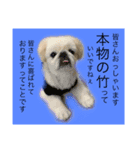 麻弐マニ 仕事一番   2（個別スタンプ：5）
