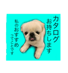 麻弐マニ 仕事一番   2（個別スタンプ：6）