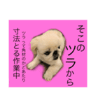 麻弐マニ 仕事一番   2（個別スタンプ：7）