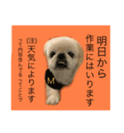 麻弐マニ 仕事一番   2（個別スタンプ：8）