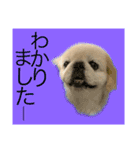 麻弐マニ 仕事一番   2（個別スタンプ：9）