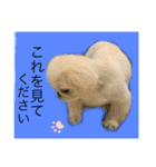 麻弐マニ 仕事一番   2（個別スタンプ：10）
