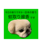 麻弐マニ 仕事一番   2（個別スタンプ：11）