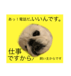麻弐マニ 仕事一番   2（個別スタンプ：12）