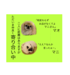 麻弐マニ 仕事一番   2（個別スタンプ：13）