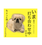 麻弐マニ 仕事一番   2（個別スタンプ：14）