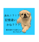 麻弐マニ 仕事一番   2（個別スタンプ：15）