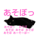 じじとうぃる（個別スタンプ：2）