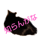 じじとうぃる（個別スタンプ：3）