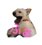 じじとうぃる（個別スタンプ：5）