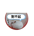 倉鼠♪（個別スタンプ：7）