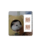 倉鼠♪（個別スタンプ：9）