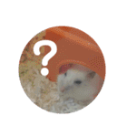 倉鼠♪（個別スタンプ：22）