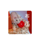 倉鼠♪（個別スタンプ：37）