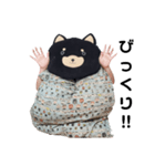 ざぶとんぐま（個別スタンプ：7）