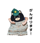 ざぶとんぐま（個別スタンプ：8）