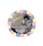 すずき家のふくちゃん（個別スタンプ：2）
