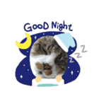 すずき家のふくちゃん（個別スタンプ：4）