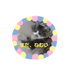すずき家のふくちゃん（個別スタンプ：12）