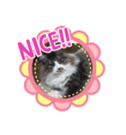 すずき家のふくちゃん（個別スタンプ：16）