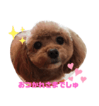 potemiの愛犬2（個別スタンプ：1）