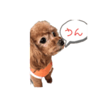 potemiの愛犬2（個別スタンプ：2）