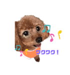 potemiの愛犬2（個別スタンプ：3）