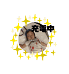 学校へ行こう カエル（個別スタンプ：23）