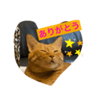 よきことば（個別スタンプ：3）