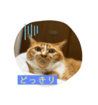 よきことば（個別スタンプ：5）