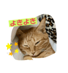 よきことば（個別スタンプ：6）