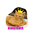 よきことば（個別スタンプ：7）