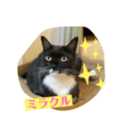 よきことば（個別スタンプ：8）