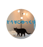 Cheddar2（個別スタンプ：2）