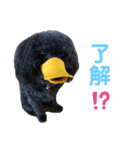 とこあんず（個別スタンプ：1）