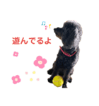 とこあんず（個別スタンプ：2）