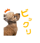 とこあんず（個別スタンプ：6）